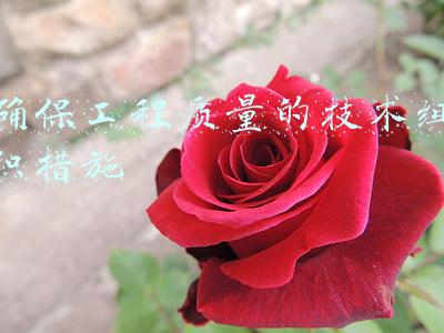 确保工程质量的技术组织措施