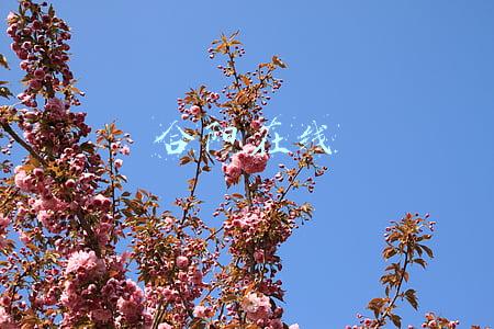 合阳在线