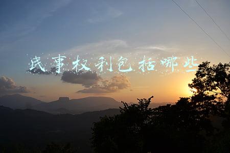 民事权利包括哪些