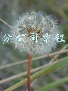分公司章程