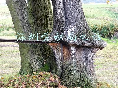 深圳劳动局电话