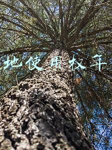 国有土地使用权年限(什么情形下可以协议出让国有土地使用权？| 专家答疑)