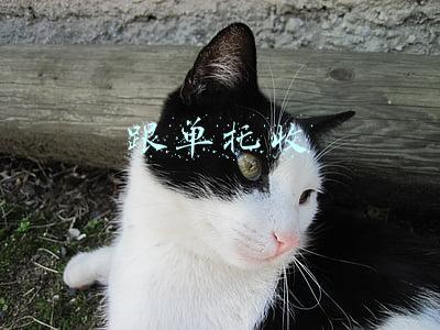 跟单托收业务中,即期d/p,远期(国际货运代理考试《国际货运代理理论与实务》历年真题及详解)