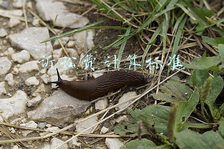 人身损害诉讼费计算标准(【公示】法院诉讼费收费标准与速算公式)