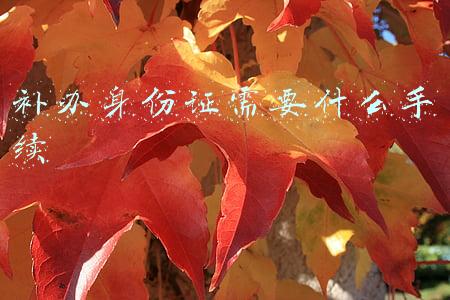 补办身份证需要什么手续