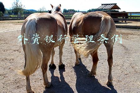 外资银行管理条例