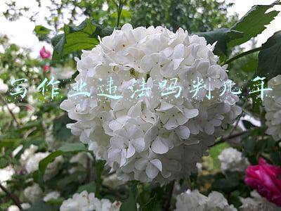 写作业违法吗判几年