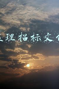 监理招标文件