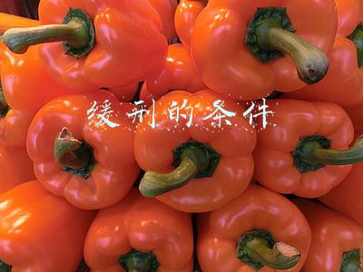 诈骗缓刑的条件(初犯诈骗罪能缓刑吗？)