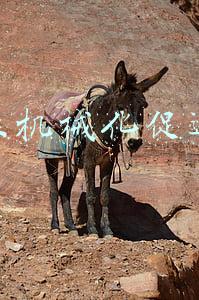农业机械化促进法