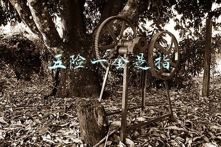五险一金是指