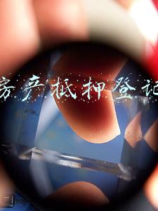 房产抵押登记在哪个部门办理?(办理房子抵押需要什么流程？详情解答)