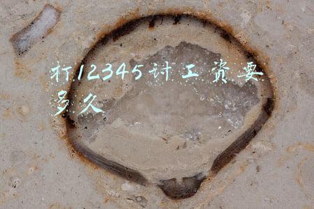 打12345讨工资要多久