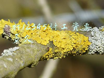 打12345讨工资要多久