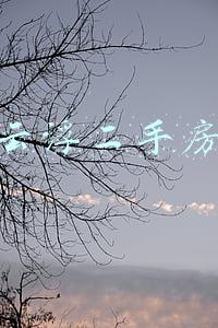 云浮二手房出售信息网(广东云浮房子沦为白菜价，云浮100个小区房价公布，你还买不起吗)