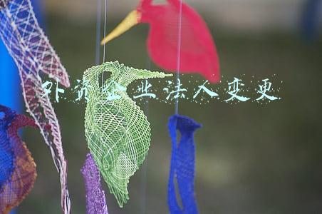 外资企业法人变更