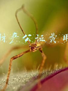 财产公证费用