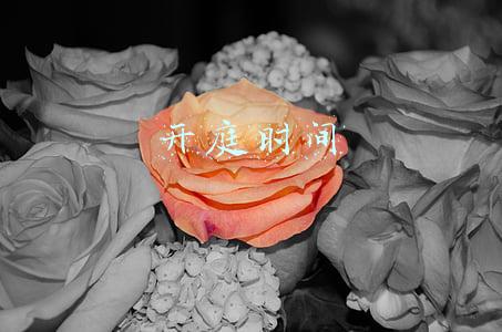 开庭时间
