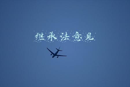 继承法意见