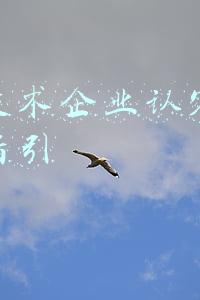 高新技术企业认定专项审计指引