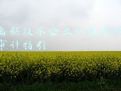高新技术企业认定专项审计指引