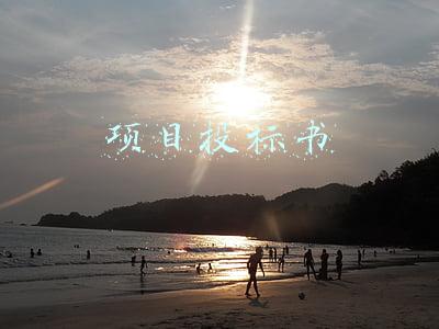 项目投标书