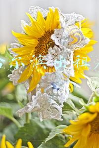 哈尔滨出租房