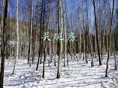 买现房