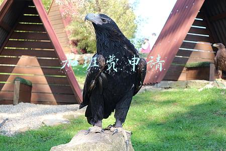 加班费申请