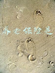补充养老保险是什么情况(应缴未缴三种情况可补缴养老保险)