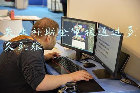 失业补助金审核通过多久到账