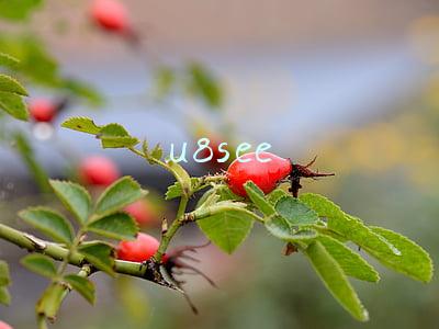 u8see