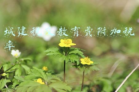 城建税及教育费附加税率公式(城建税、教育费附加、地方教育附加税要怎么算？)