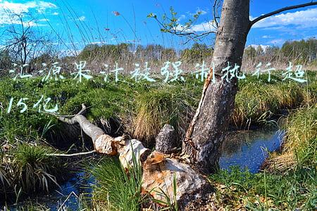 汇源果汁被强制执行超15亿