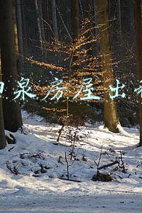 阳泉房屋出租