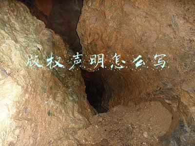 版权声明怎么写