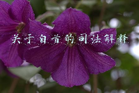 关于自首的司法解释