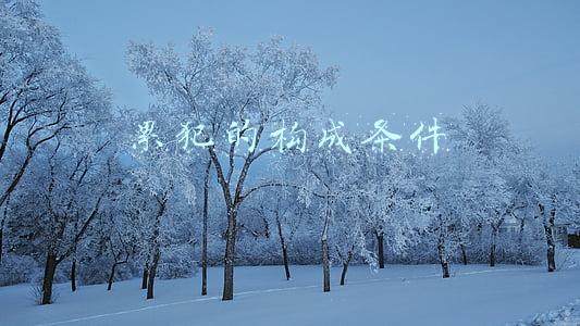 累犯的构成条件
