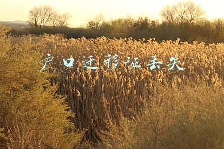 户口迁移证丢失情况说明(《亲爱的》原型被拐儿童孙卓户籍地在黑龙江？专家：给被拐卖儿童违法上户或涉嫌犯罪)