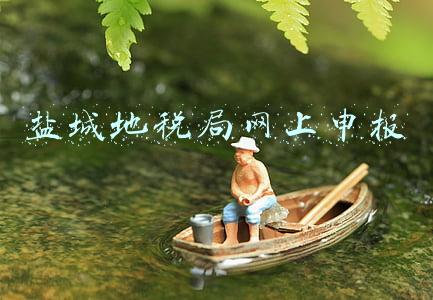 盐城地税局网上申报