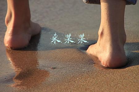 来某某