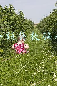 小额贷款骗局
