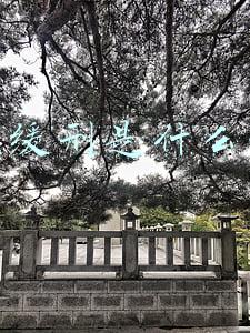 死刑缓刑是什么意思
