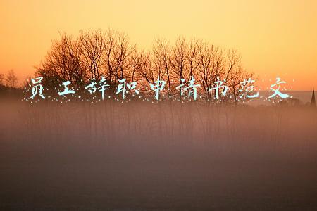员工辞职申请书范文