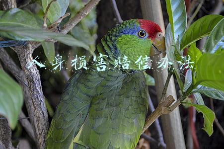 人身损害赔偿办法