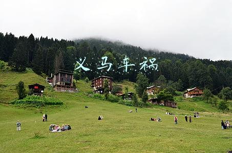 义马车祸