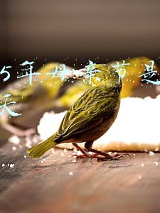 2014母亲节是哪一天(英国王室母亲节的6个传统，其中一个你肯定做不到)