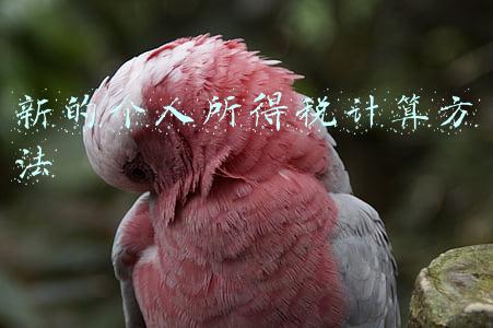 新的个人所得税计算方法