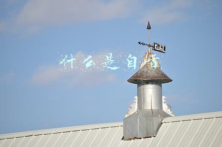 什么是自首