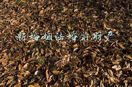 婚姻法婚前财产(最新：婚恋财产纠纷25个法律要点(含婚前赠予、彩礼…))